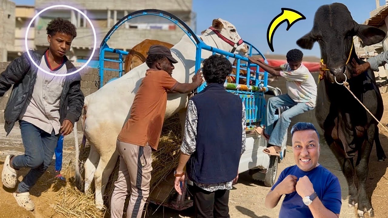 Malir Mandi PHAT Gayi! 😱🐏 | 20 January 2026 Latest Rates | Qurbani 2026 Ka Khazana Khul Gaya 💸🔥 