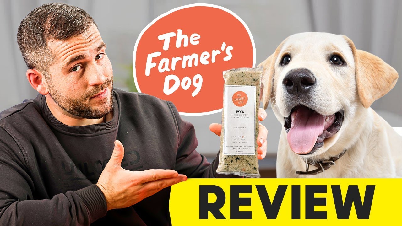 Обзор Farmer&rsquo;s Dog | Как свежий корм для собак может улучшить здоровье вашего питомца (2026)