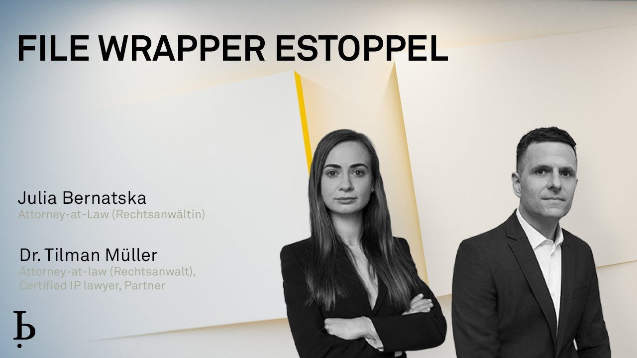 IP Insights: File wrapper estoppel (2023)