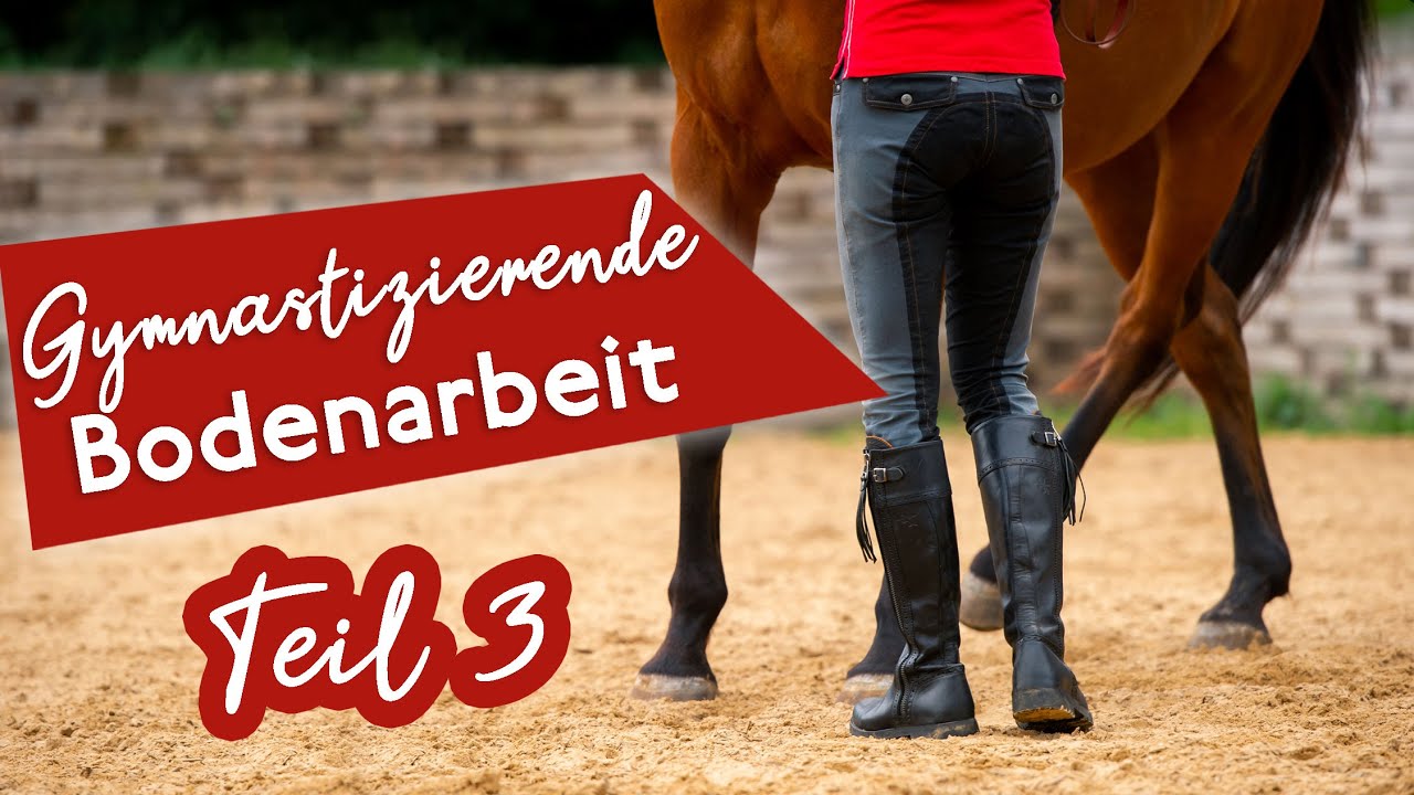 🐎 Gymnastizierende Bodenarbeit Teil3 mit Sandra Fencl 🤗