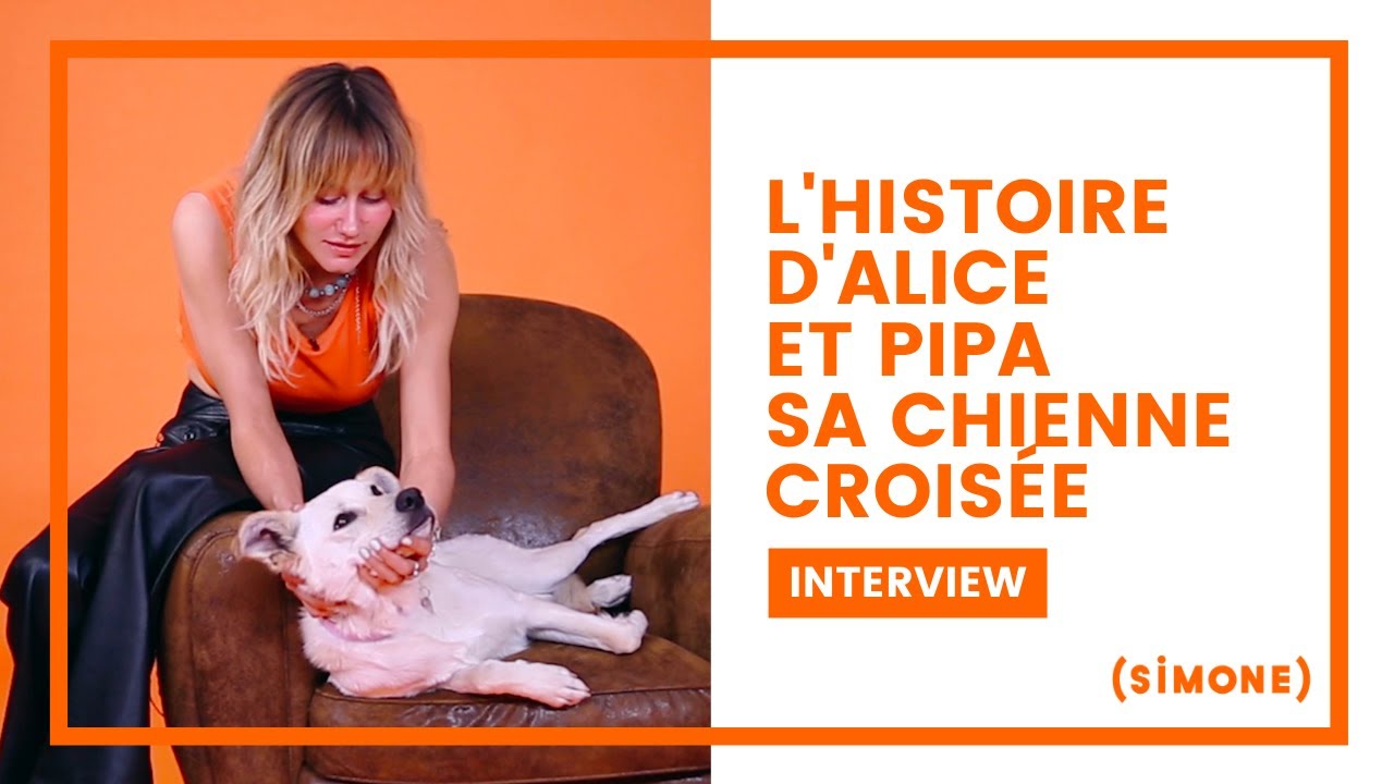 L'HISTOIRE D'ALICE ET PIPA, SA CHIENNE CROISÉE DE 2 ANS
