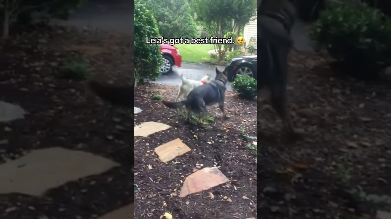 Leia got really lucky with her role models. 🥰 Archer only got Leia. 😬😅 