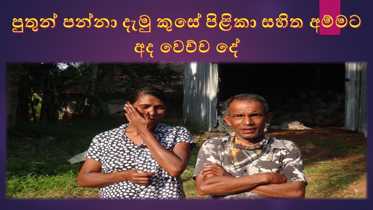 pilika ammata udaw පුතුන් පන්නා දැමු කුසේ පිළිකා සහිත අම්මට අද වෙච්ච දේ