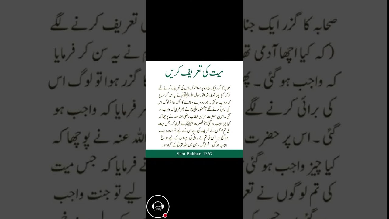 The Quran Voice | live videos