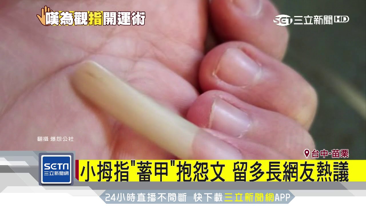 小拇指「蓄甲」抱怨文　留多長網友熱議｜三立新聞台