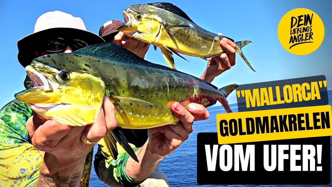 Traumhaftes Uferangeln auf Mahi Mahi + Der verrückteste FISCH unseres Lebens!!!