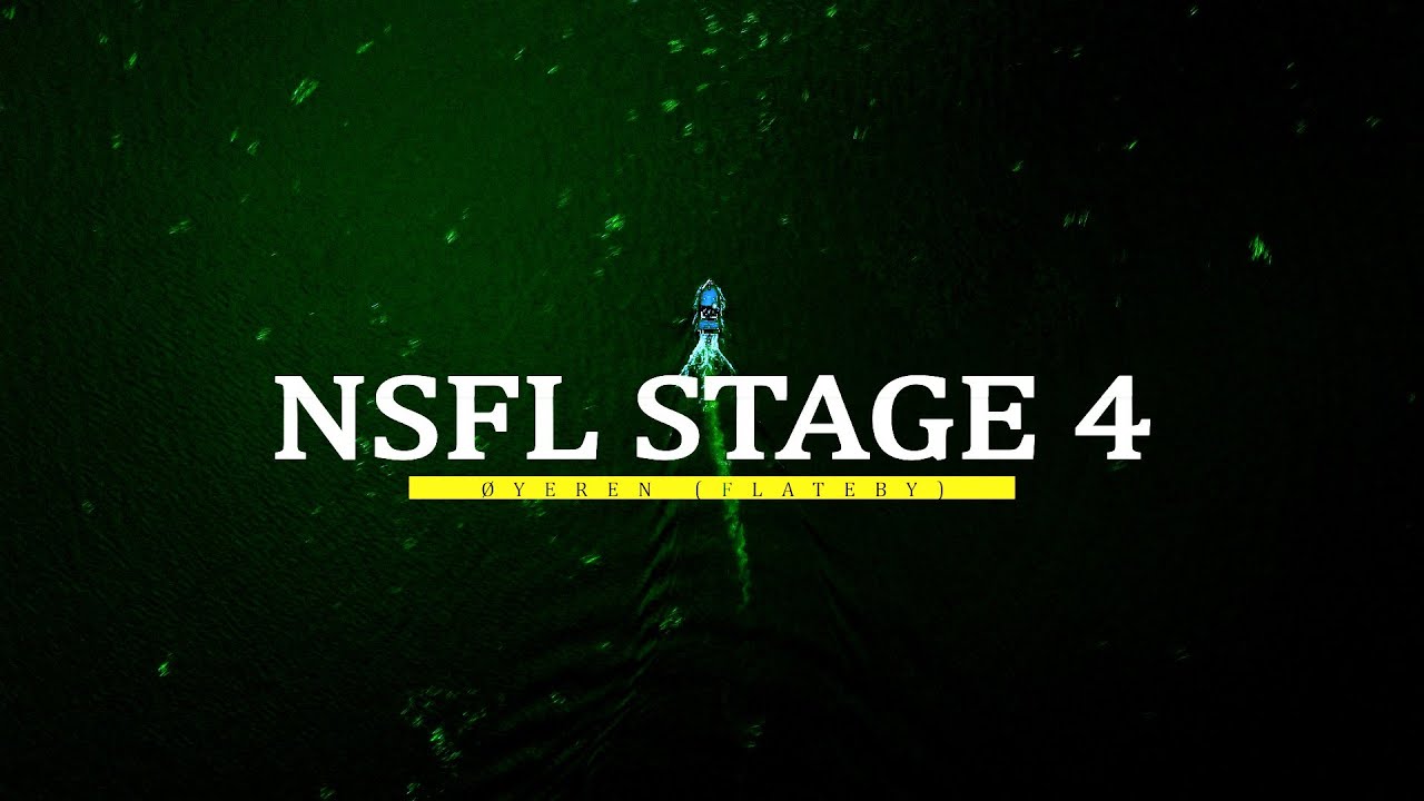 vlog#14   NSFL STAGE 4 ØYEREN Gjedde & Gjørs