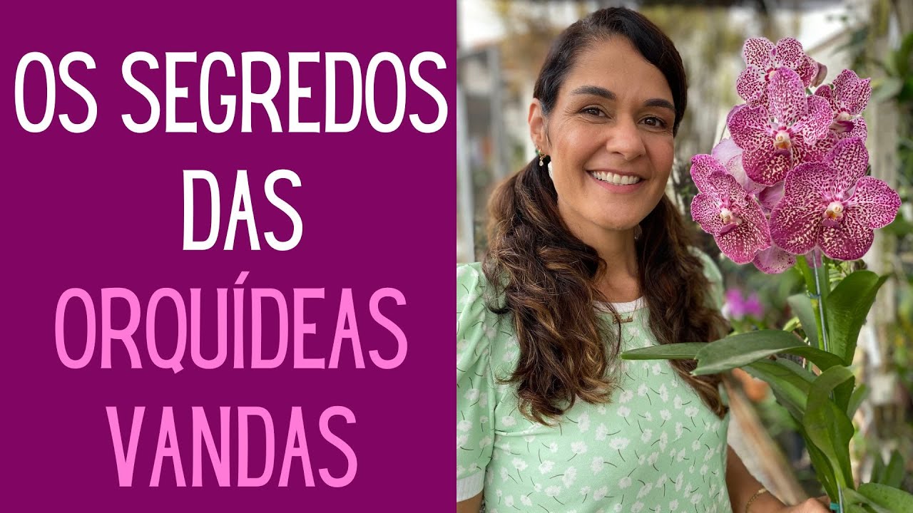 ORQUÍDEAS: Aprenda a fazer a sua Orquídea Vanda florescer muito