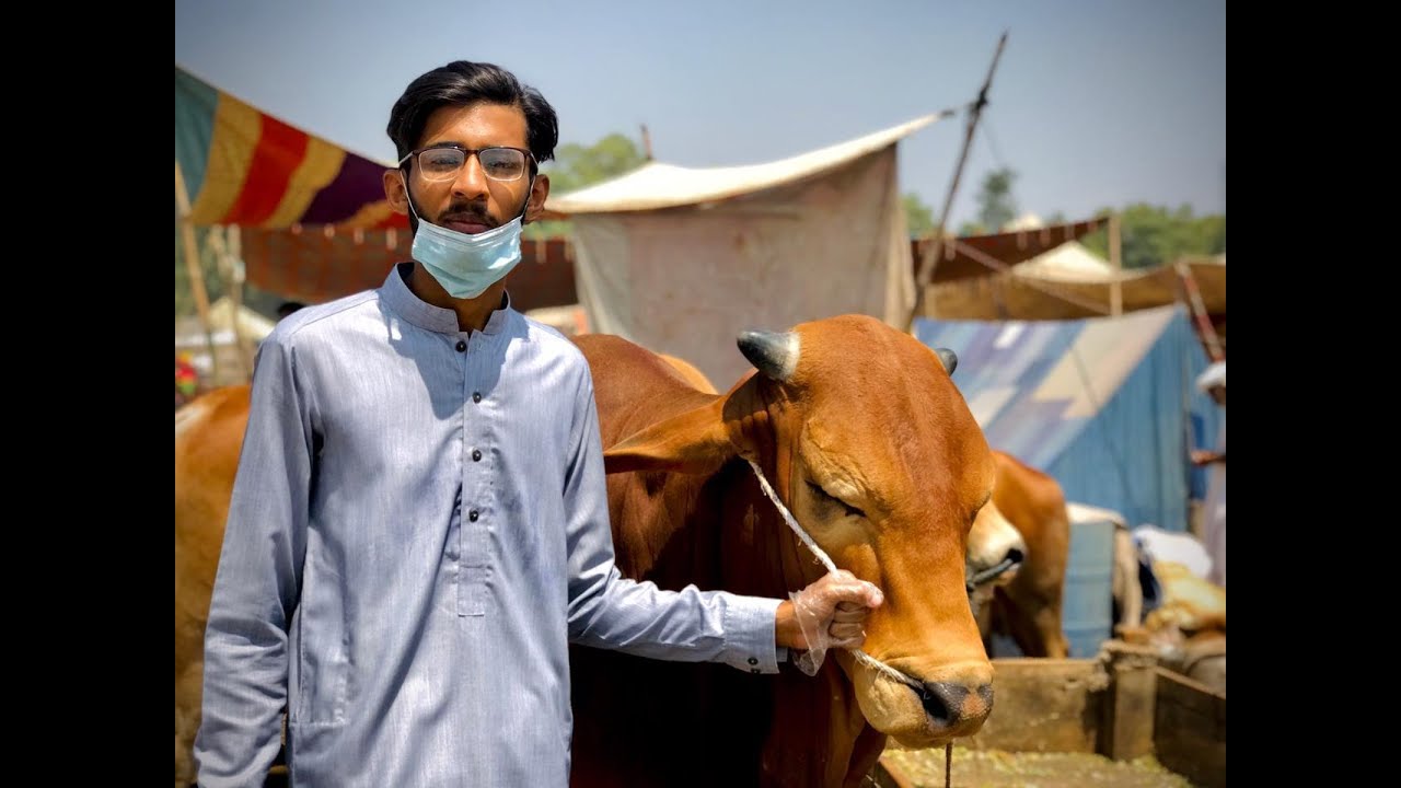 A VISIT TO THE MANDI | VLOG # 4 | HUMRAAZ OFFICIAL