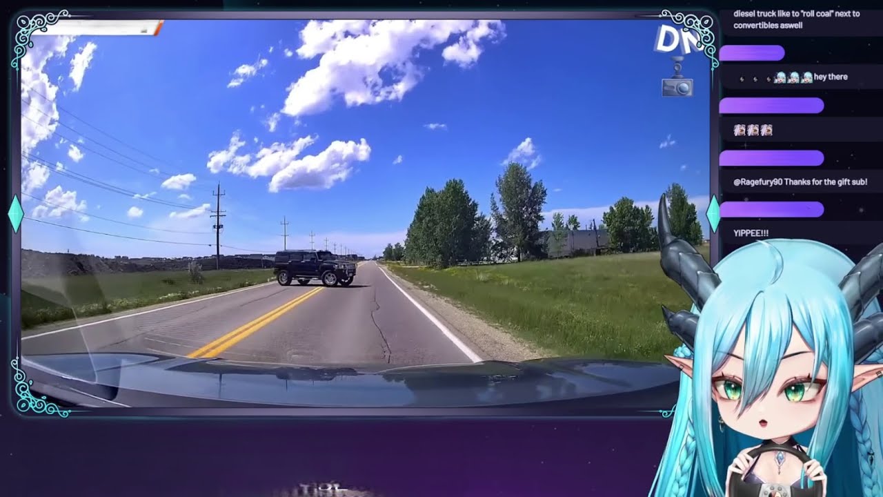 How can people be so dumb?? (Idiots in Cars)