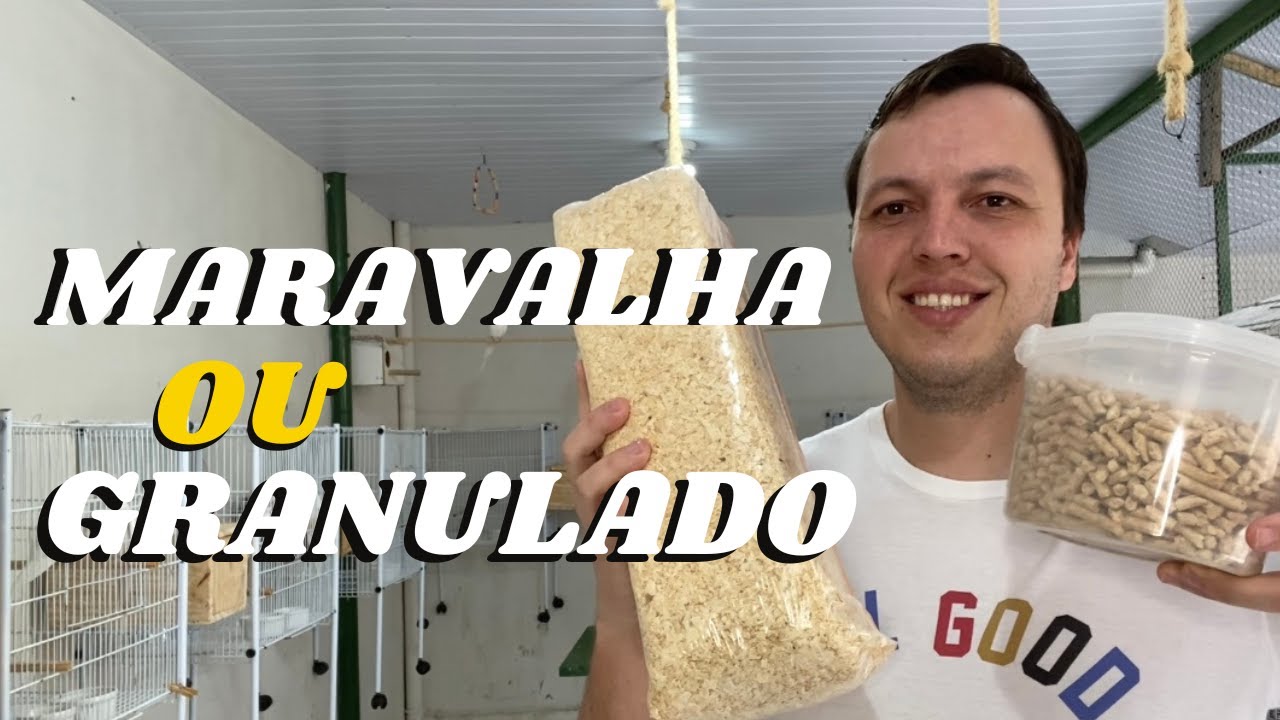 MARAVALHA OU GRANULADO HIGIÊNICO, O QUE É MELHOR POR NO NINHO DE CALOPSITA?