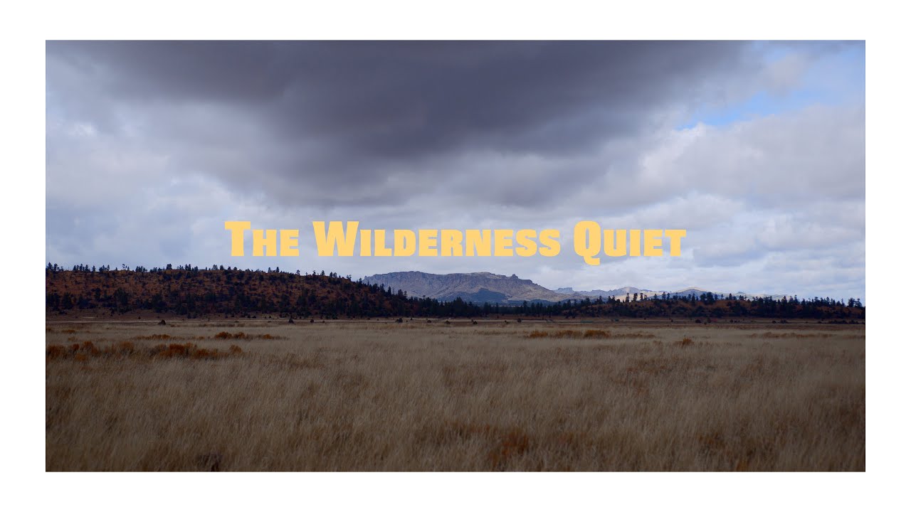 The Wilderness Quiet | Panasonic S5iiX and Varicam LT - real world comparison!