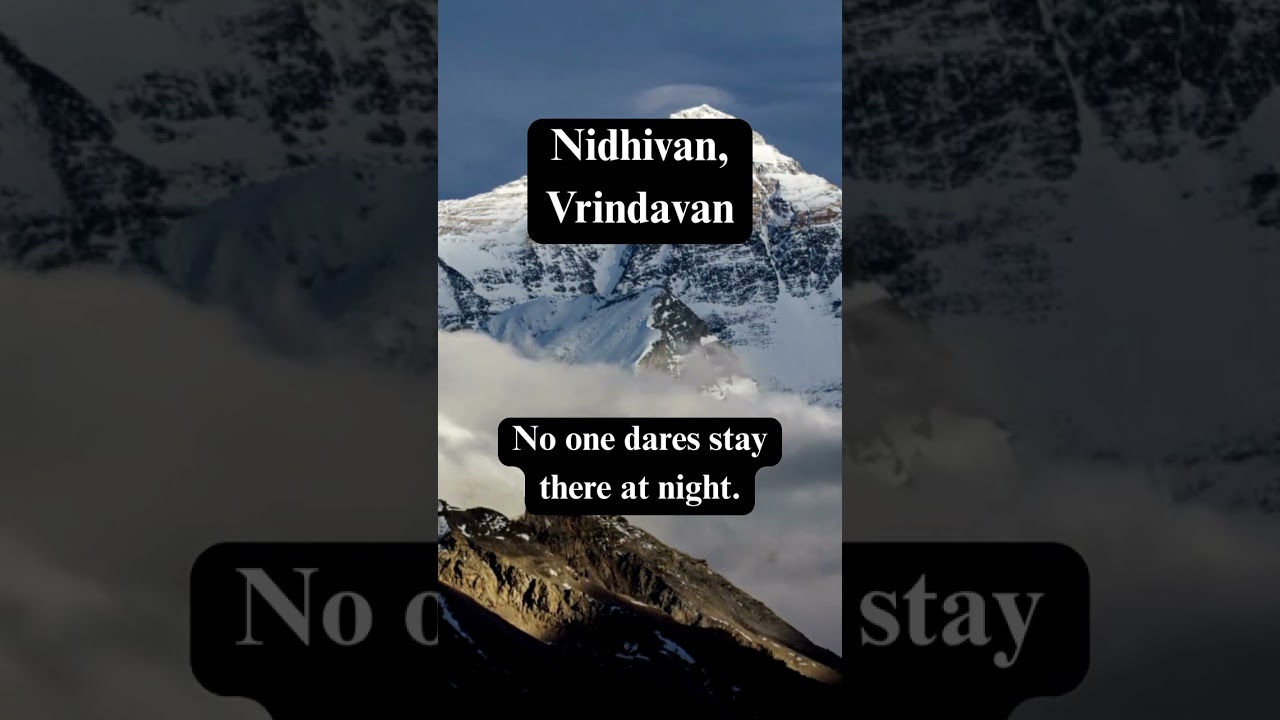 Why no one's awake at Nidhivan, Vrindavan