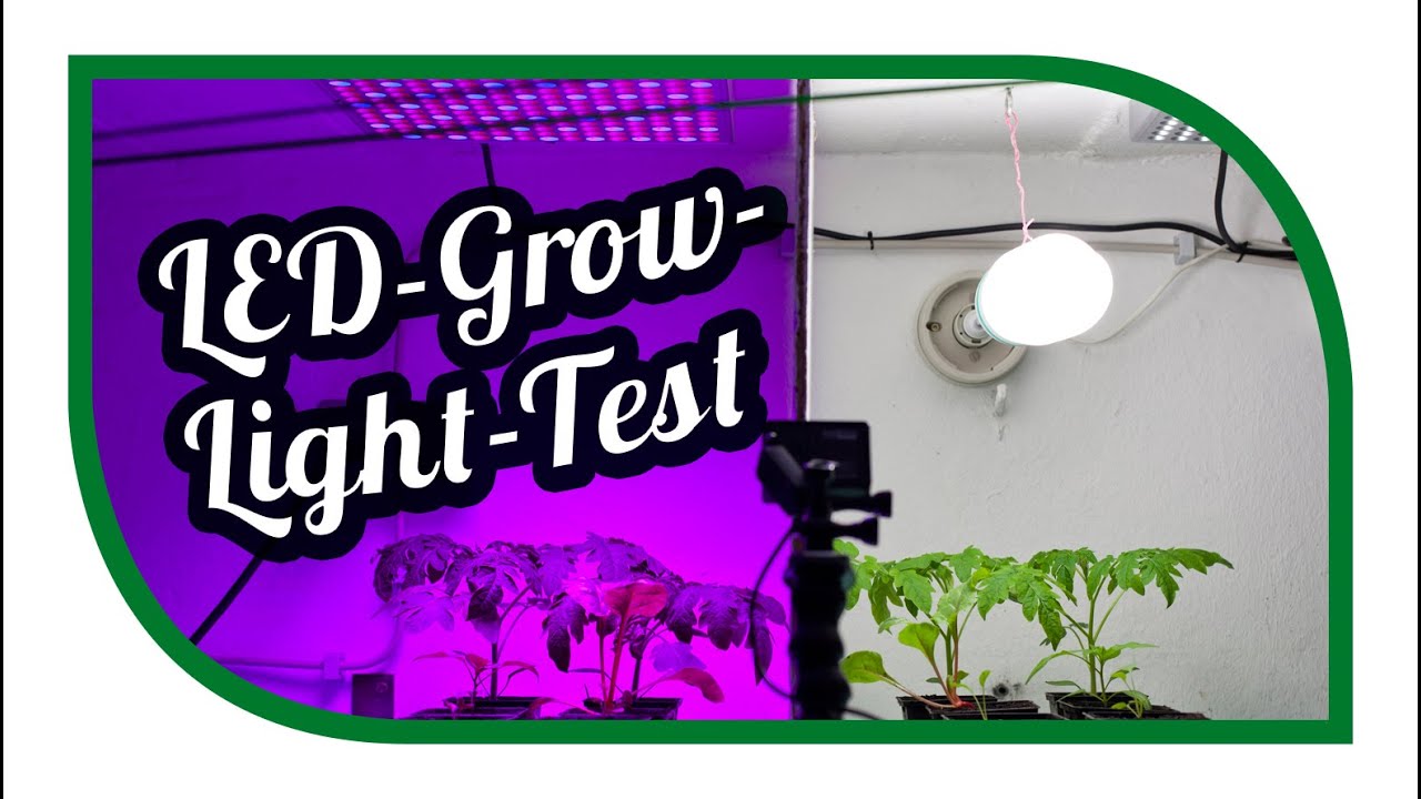 LED Grow Light Test ☀️ Aussaat Jungpflanzenanzucht Zeitraffer ☀️ Pflanzenlicht ☀️ Pflanzenlampen