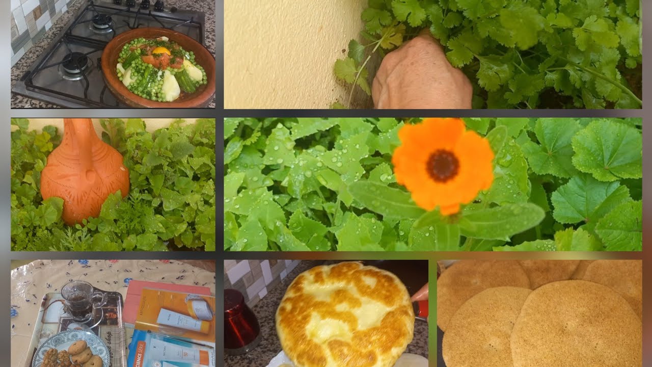 بداي نهارك بقهيوى ديال صباح /روتين كلو طاقة اجابية نهار يكون المورال طالع ههه🤗🥰