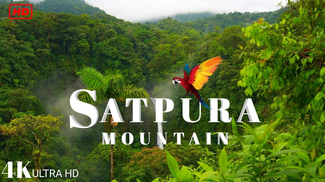 सतपुड़ा पर्वत | सतपुड़ा पर्वत श्रेणी | Satpuda Mountain | Satpura forest view | सतपुड़ा पर्वतमाला |