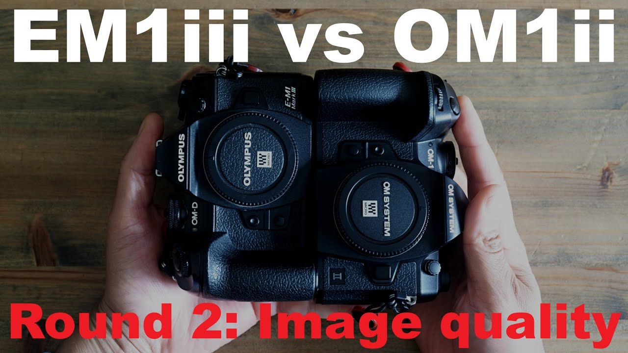 Olympus EM1 Mark III vs OM System OM1 Mark II | Round 2: Image Quality Comparison & Review