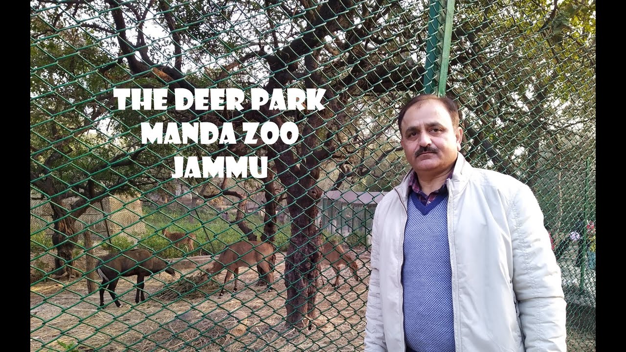 Manda Zoo| Jammu | Places to visit in Jammu | Best tourist attractions in Jammu| Zoo in Jammu |