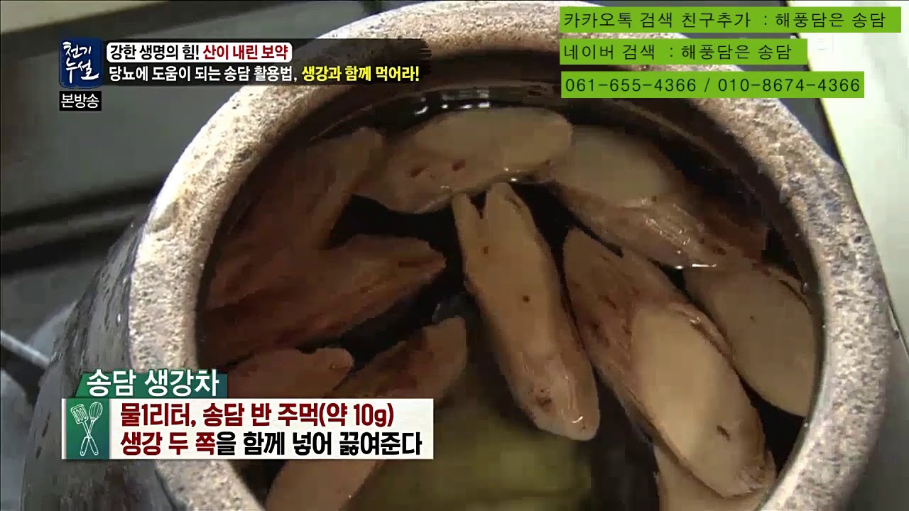 해풍담은송담 활용(송담차)