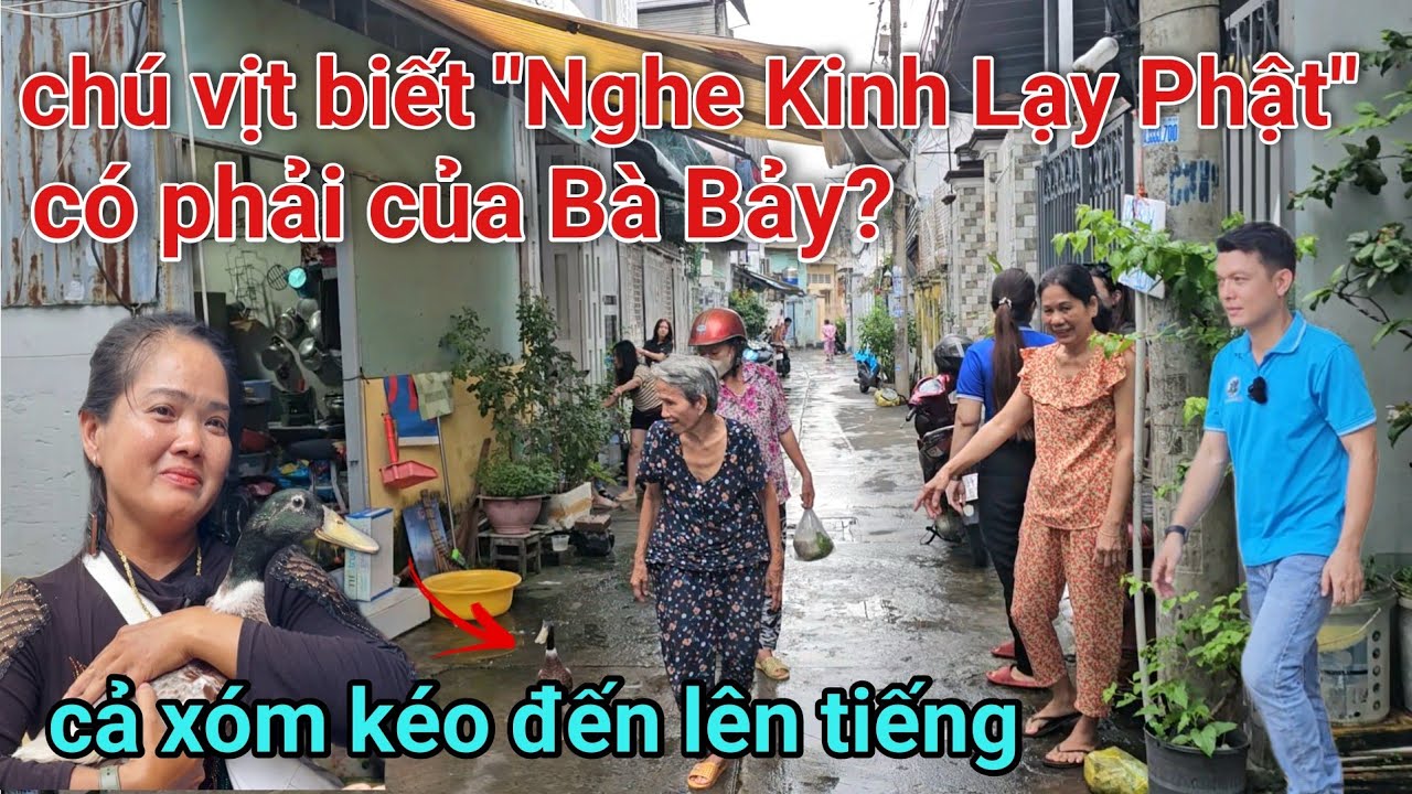 Cả xóm lên tiếng 