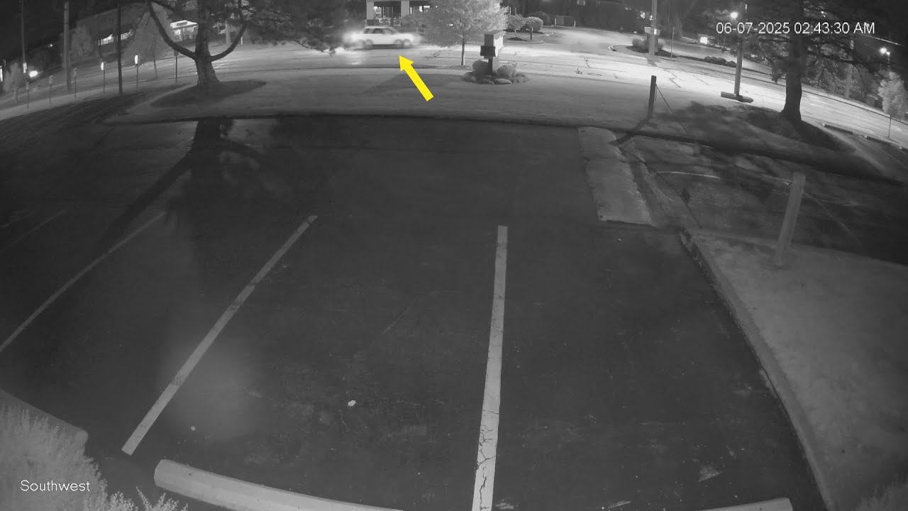 Police arrest 2 men accused of stealing pink flamingo statue in Parma