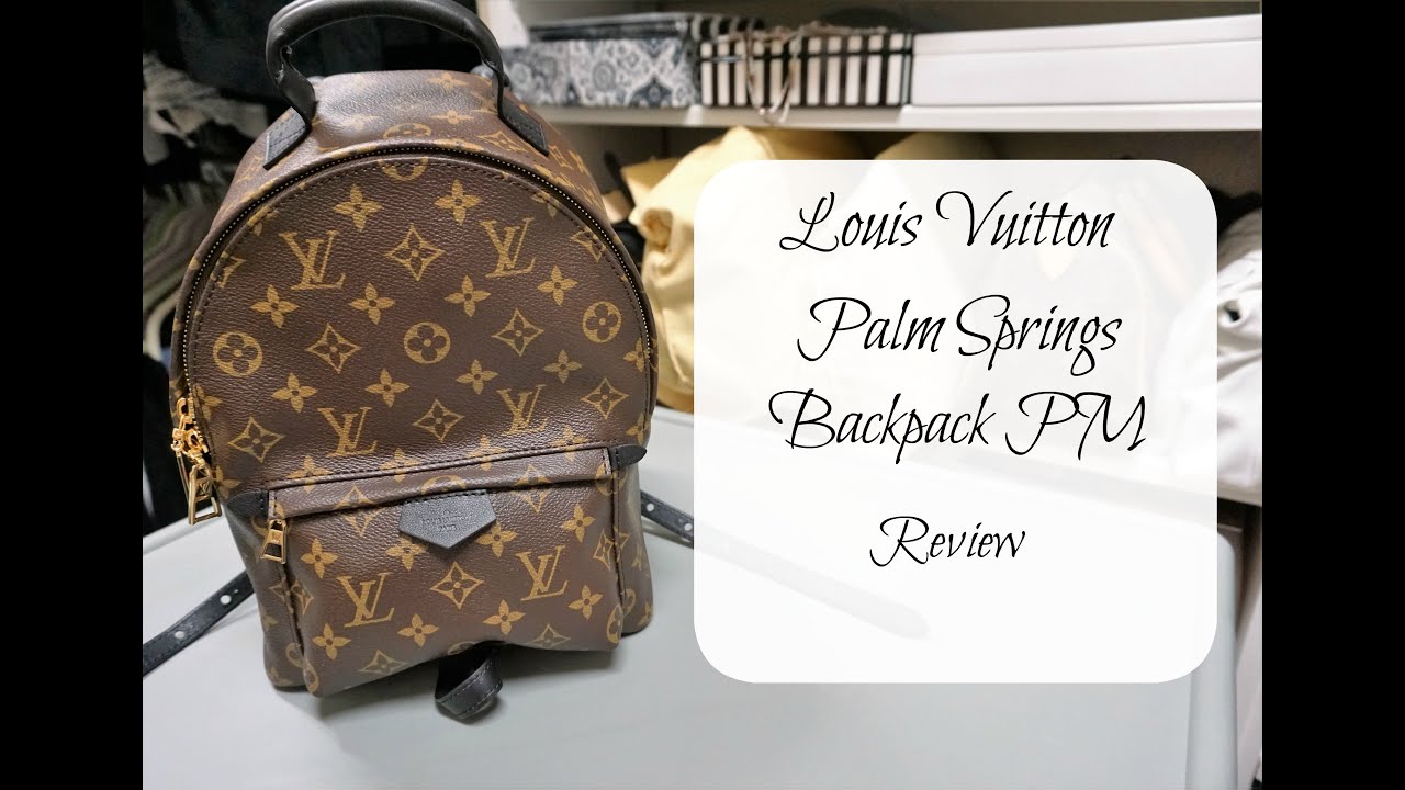 Обзор рюкзака Louis Vuitton Palm Springs PM