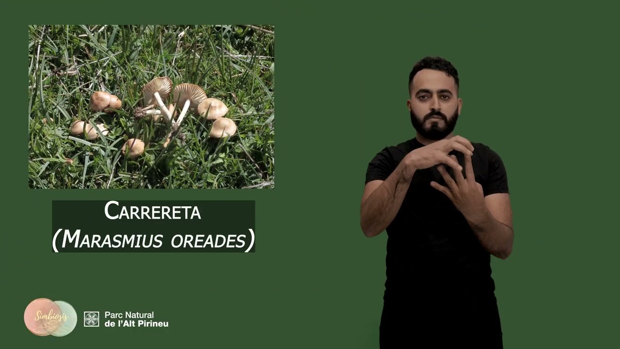 Carrereta o cama-sec (Marasmius oreades) segons la Llengua de Signes Catalana
