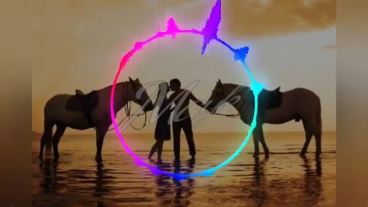 DAN&Ccedil;A COLADO