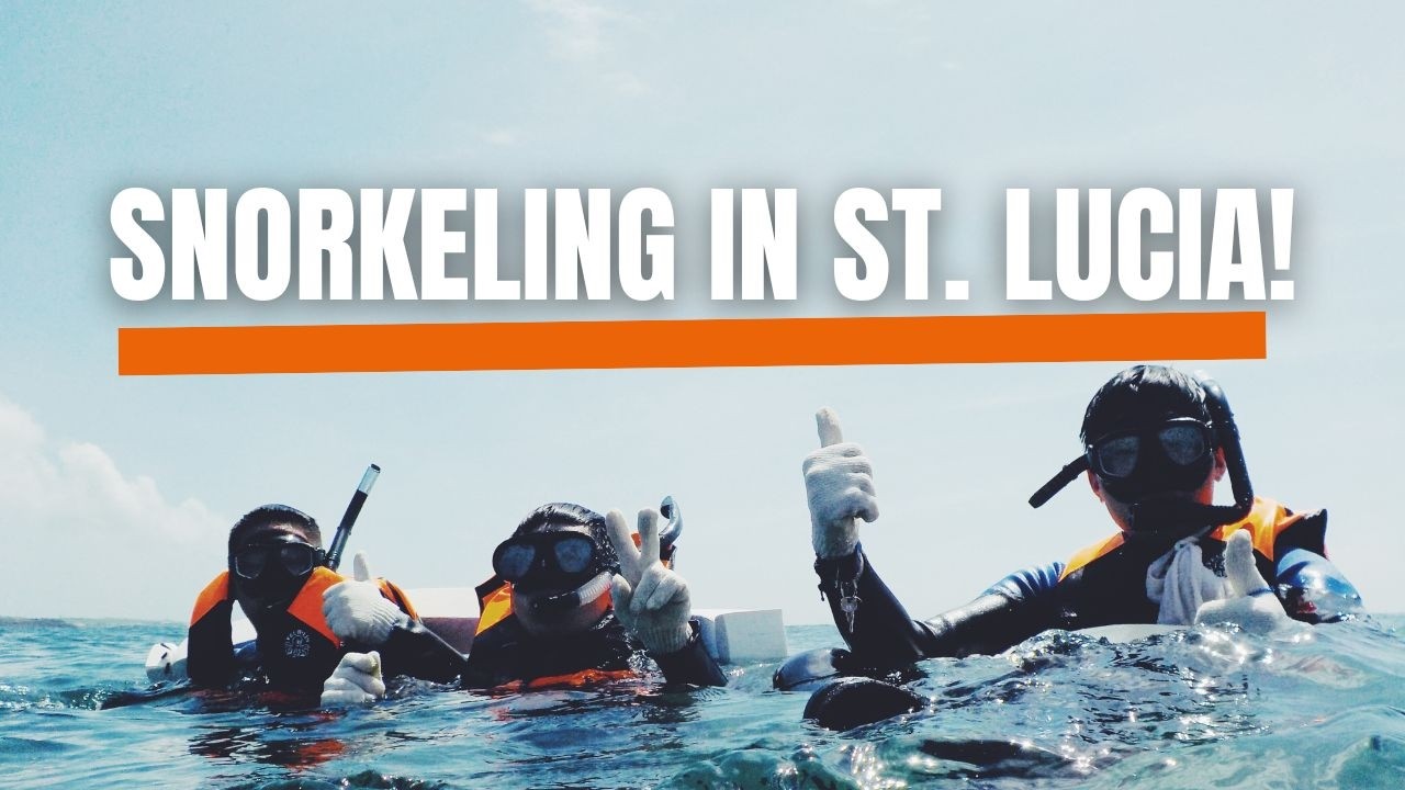 Snorkeling in St. Lucia