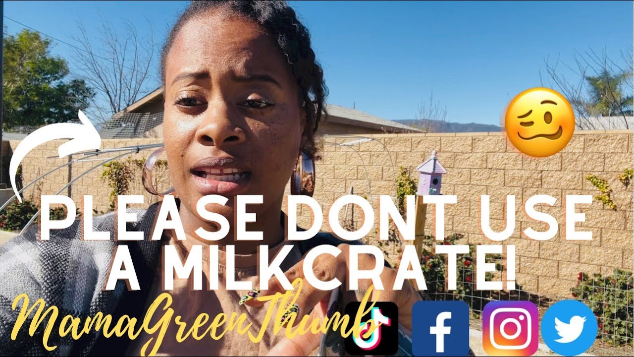 MILK CRATE UPDATE! DO MILK CRATE GARDENS WORK MILK CRATE GARDEN PT 2 SMALL SPACE GARDENING ON BUDGET