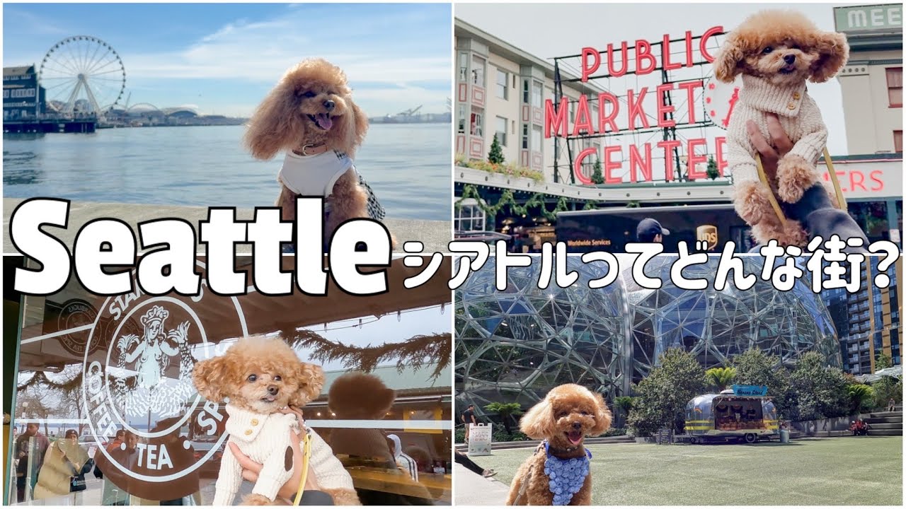 シアトルってこんな街！愛犬と行く観光スポットまとめ