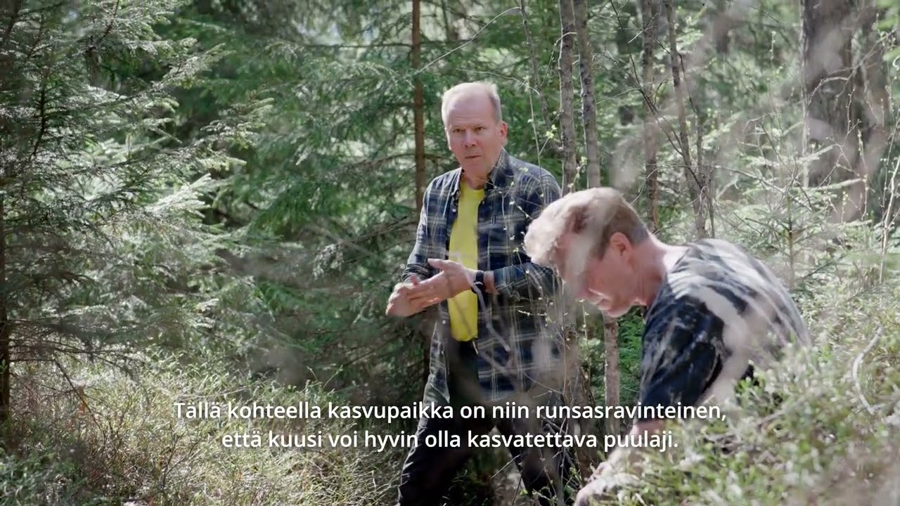 Ojitettujen rämeiden vaihtoehdot – puuntuotanto