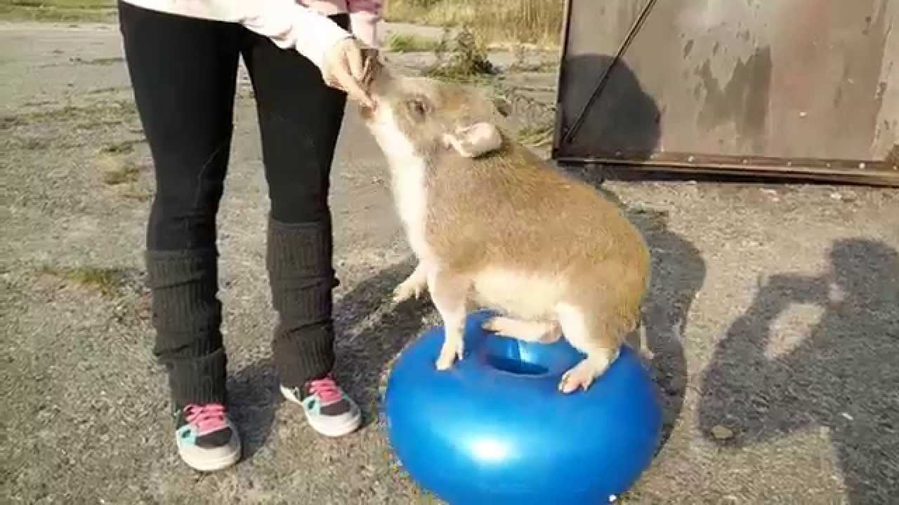 Stefa & fitness! :D