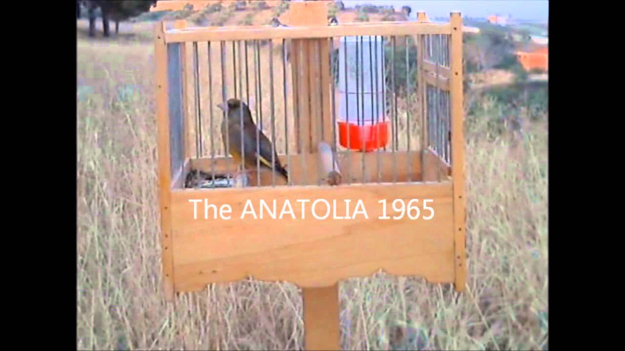 ΦΛΩΡΟΣ Οκτωβριανός 1 μέρος 2ο