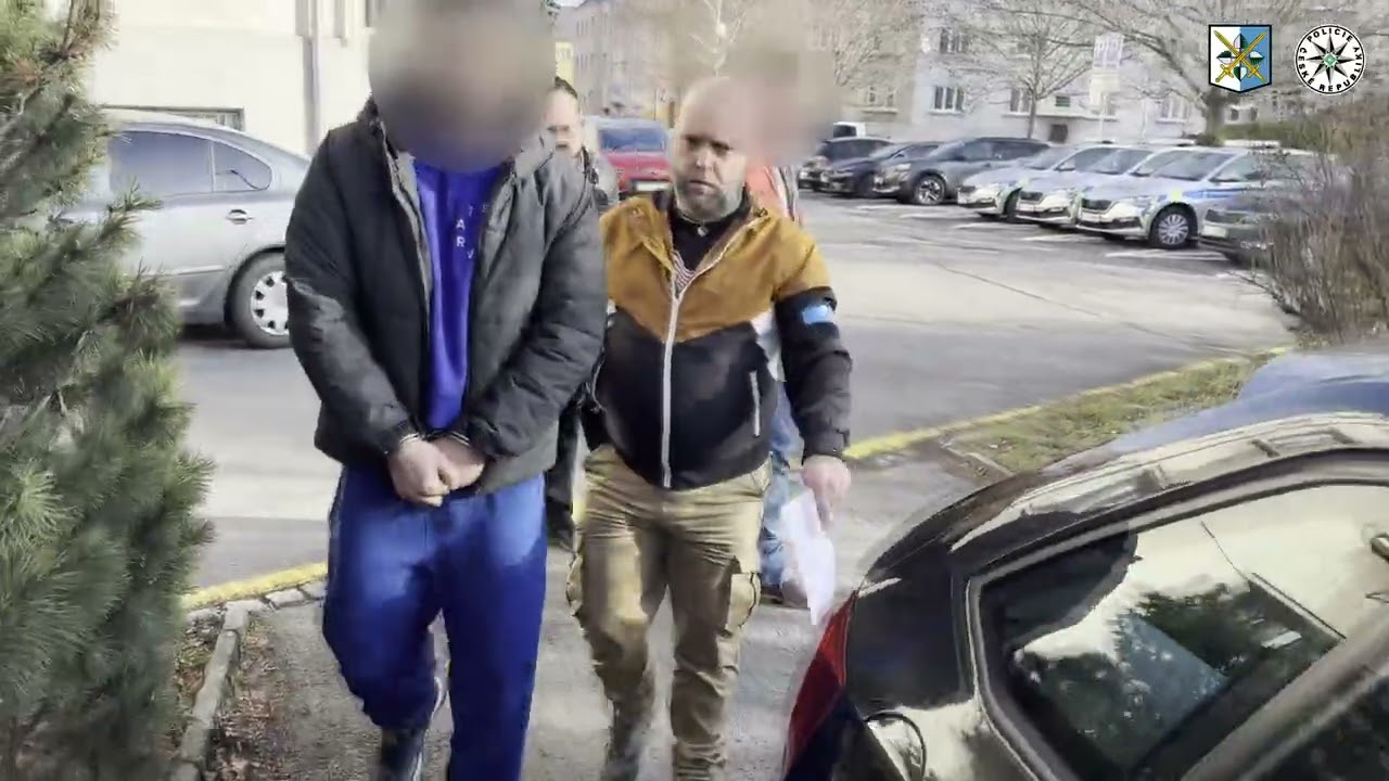 ZADRŽENÝ CIZINEC PODEZŘELÝ Z PODVODŮ V KYBER PROSTORU