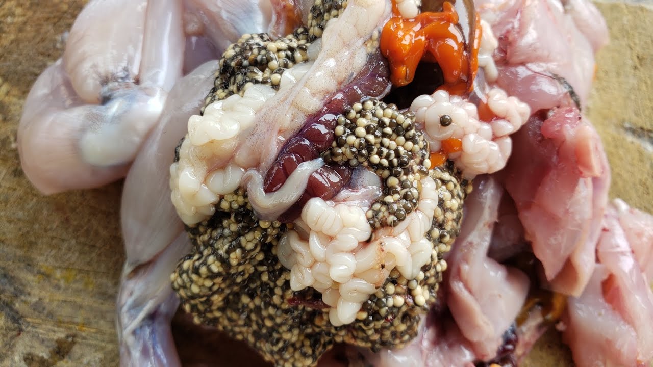 fried frog with natural vegetables