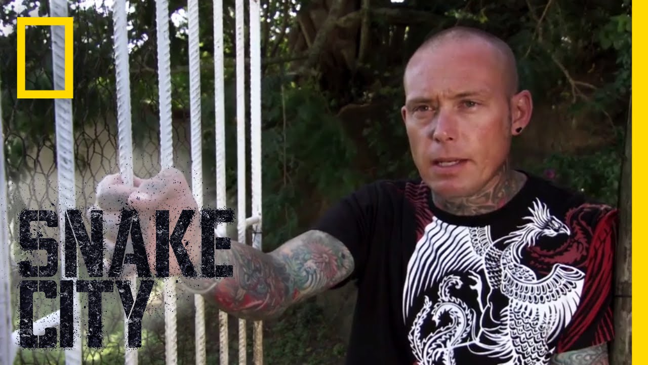 The Vanishing Mamba | Snake City