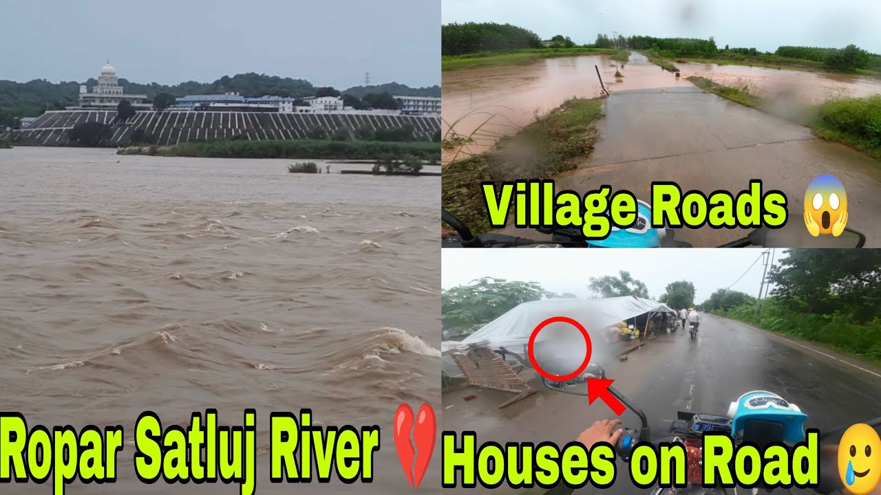 Punjab's 💔 Worst Flood Situation in Ropar I Moon Sharma YT #ropar #rupnagar #flood 