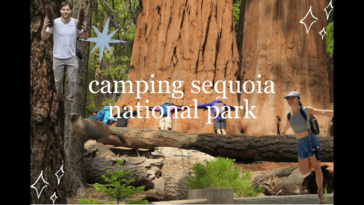 camping in sequoia national park