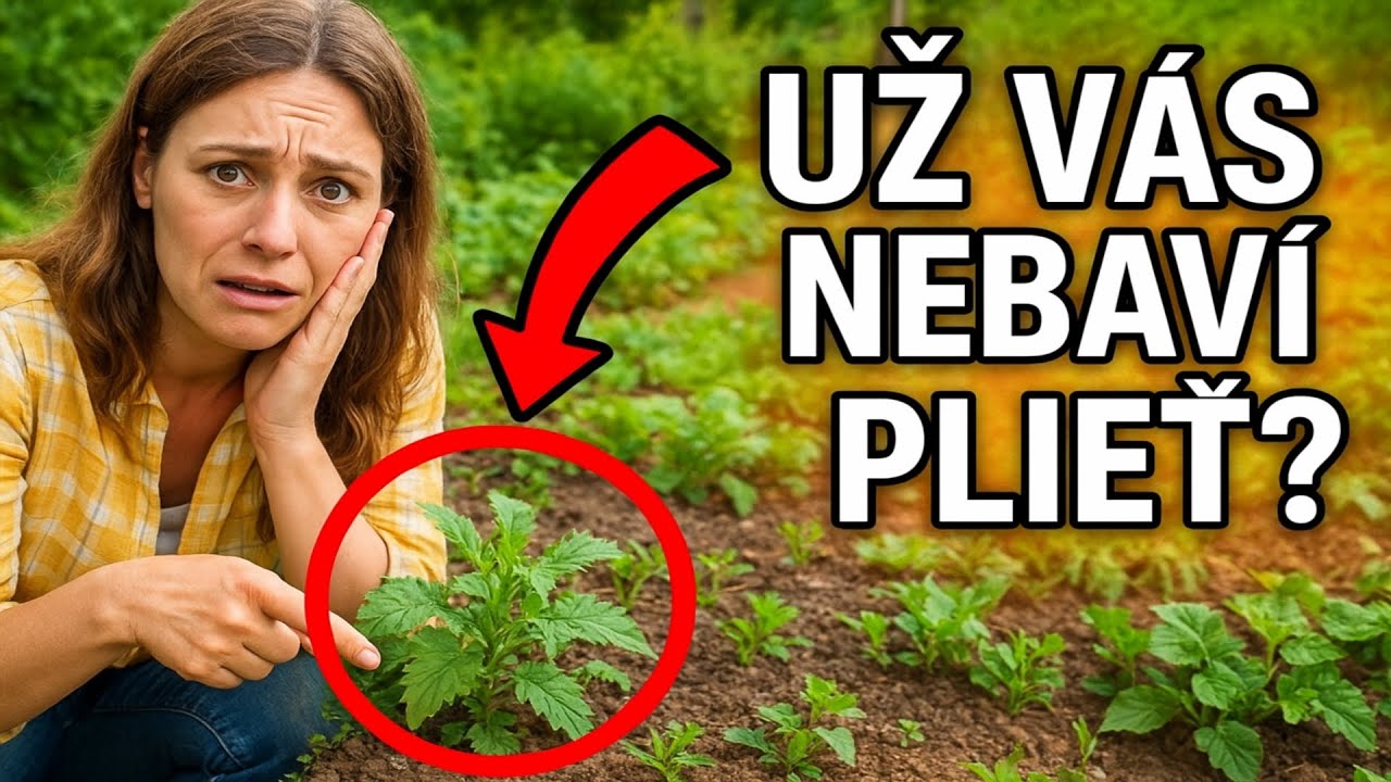 Už vás nebaví plieť? Ako sa zbaviť buriny **BEZ** chémie a rýľovania (Tajomstvo s kartónom)