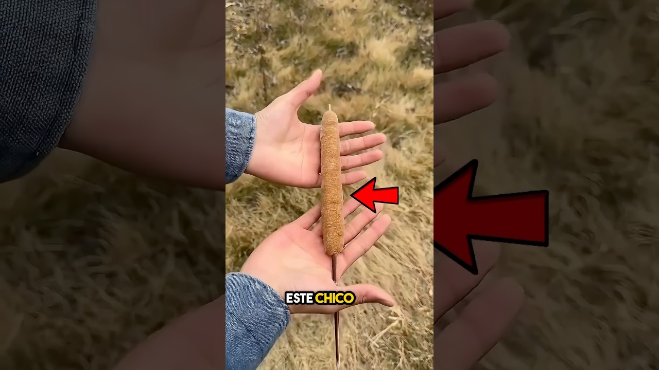 nunca coma esta planta, de lo contrario&hellip; 😮
