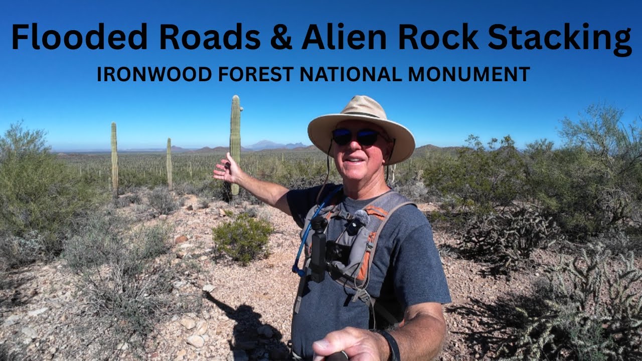 Flooded Roads & Alien Rock Stacking / Ironwood Forest National Monument