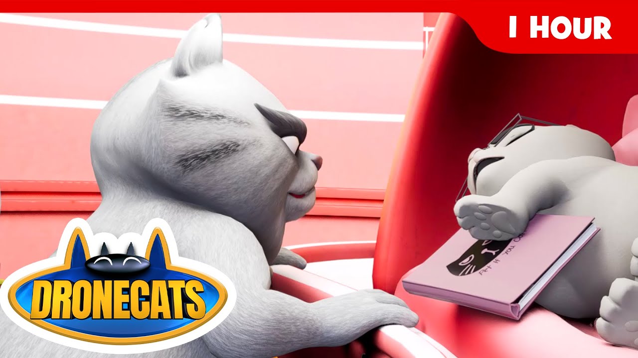 🚁🐱 Drone Cats Mega Mission Hour | 60 Minutes of Fun, Rescues & Cat-Tastic Adventures