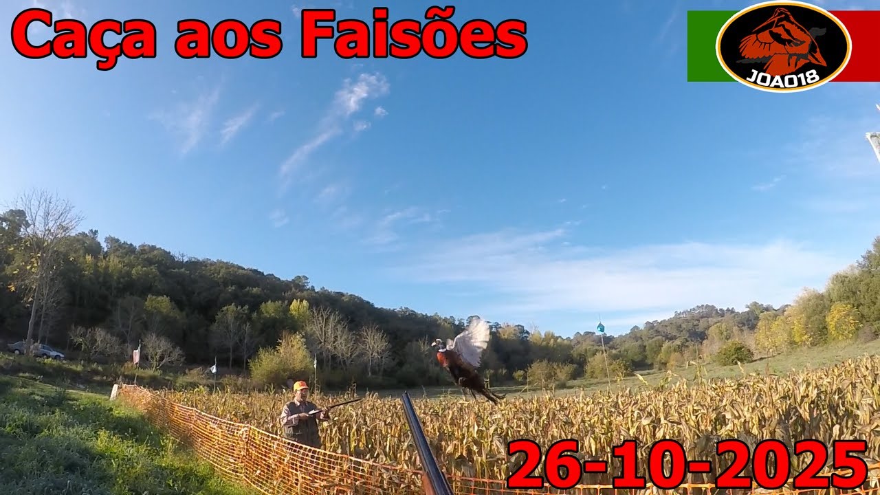 Caça aos Faisões 26-10-2025