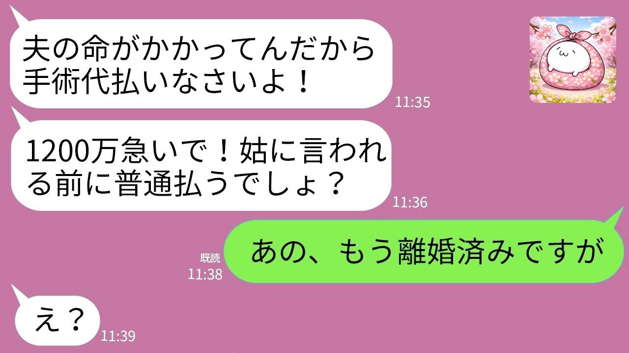 【LINE総集編】義母「息子の手術に1200万払え！嫁失格！」→私「もう離婚済みですが？」義母の反応がwww【スカッと】