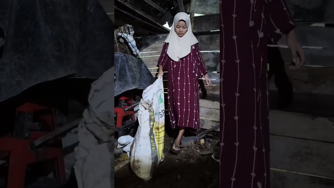 Beberes gudang buat persiapan nyimpan stok kayu bakar
