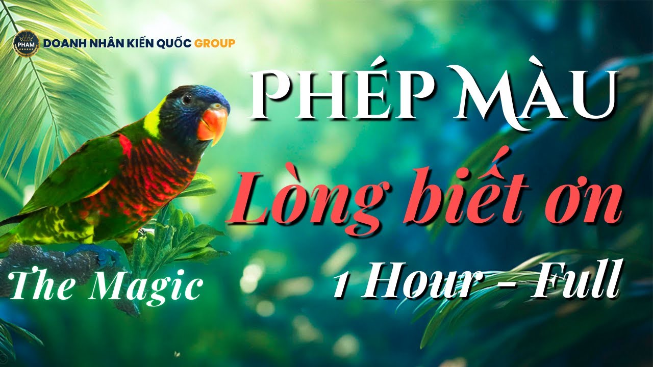 [1 HOUR] LÒNG BIẾT ƠN - Phép Màu Thần Kỳ | Luật Hấp Dẫn | Doanh Nhân Kiến Quốc Group