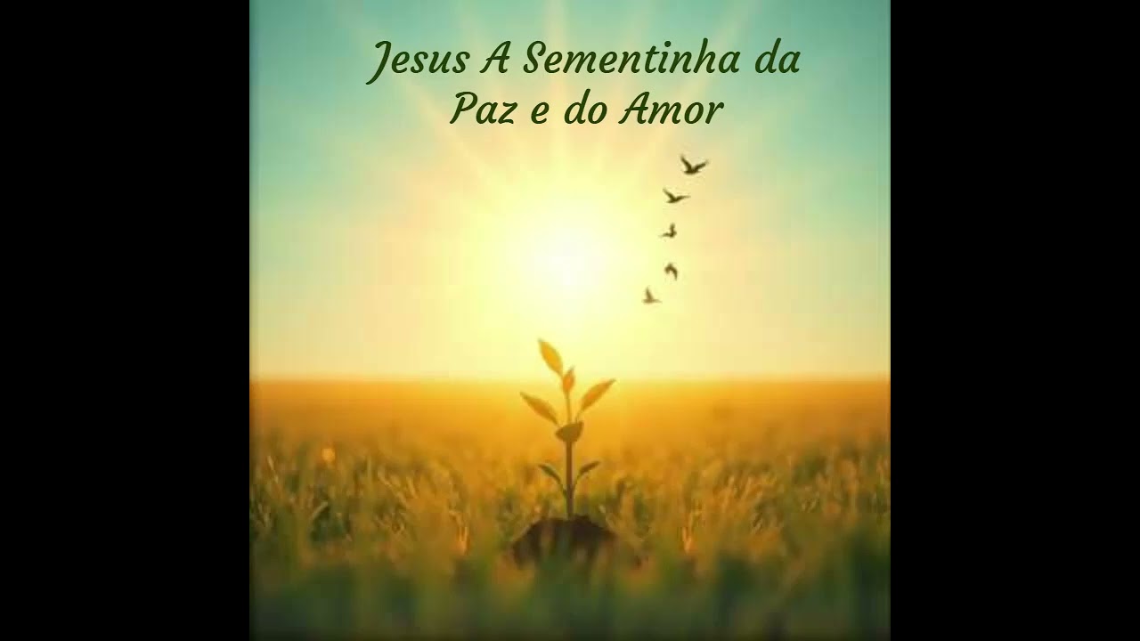 Jesus A Sementinha da Paz e do Amor! 🕊️❤️🙏🙏🏿