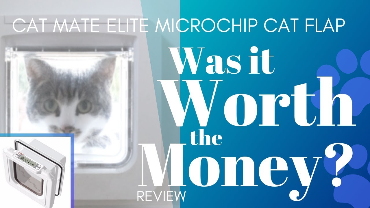 Cat Mate Elite Microchip Cat Flap Review: Keep Your Cats Safe