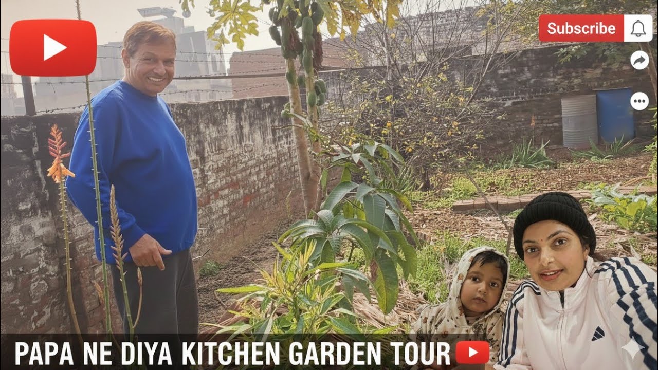 कल video क्यों नहीं डाली🙄?? 🌴🍊🥭🍋‍🟩Papa ne diya kitchen garden tour